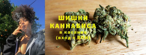 гидропоника Богданович