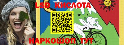 шишки Заводоуковск