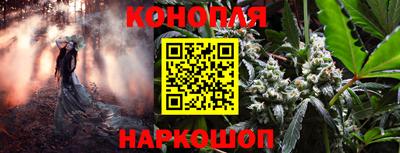 шишки Заводоуковск
