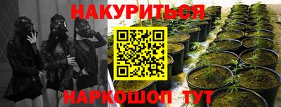 шишки Заводоуковск