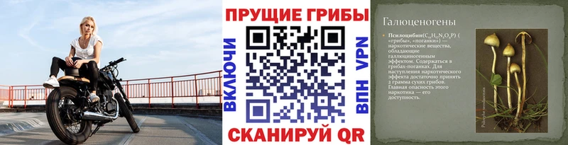 Галлюциногенные грибы мухоморы  Малоярославец 