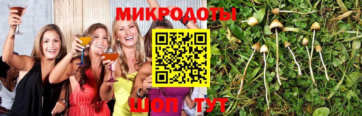 Псилоцибиновые грибы мицелий  Вход с VPN  Малоярославец 
