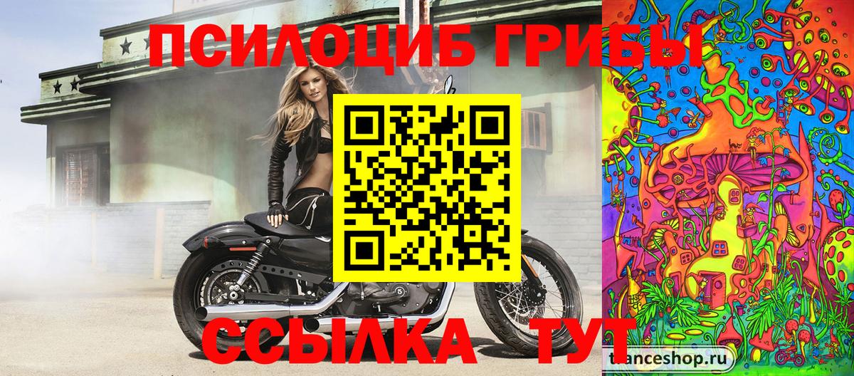 Псилоцибиновые грибы GOLDEN TEACHER Малоярославец