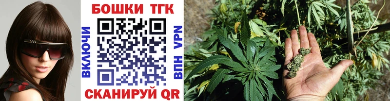 Канабис OG Kush  Малоярославец 